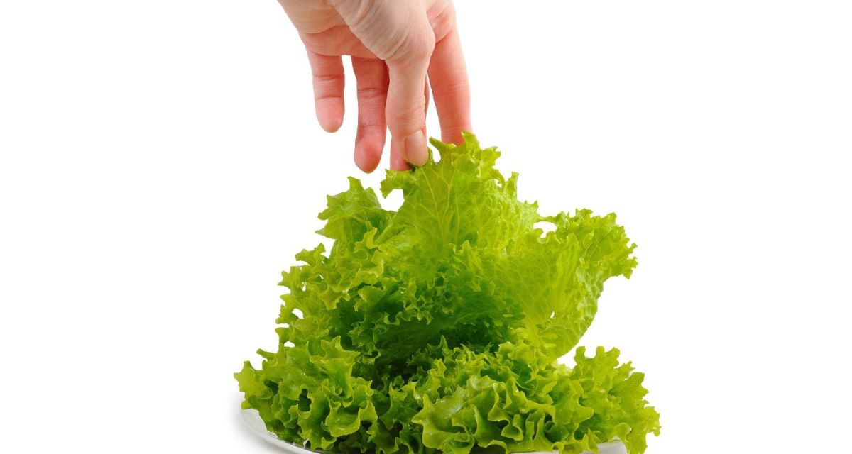Does Bagged Lettuce Have Preservatives? Delishably