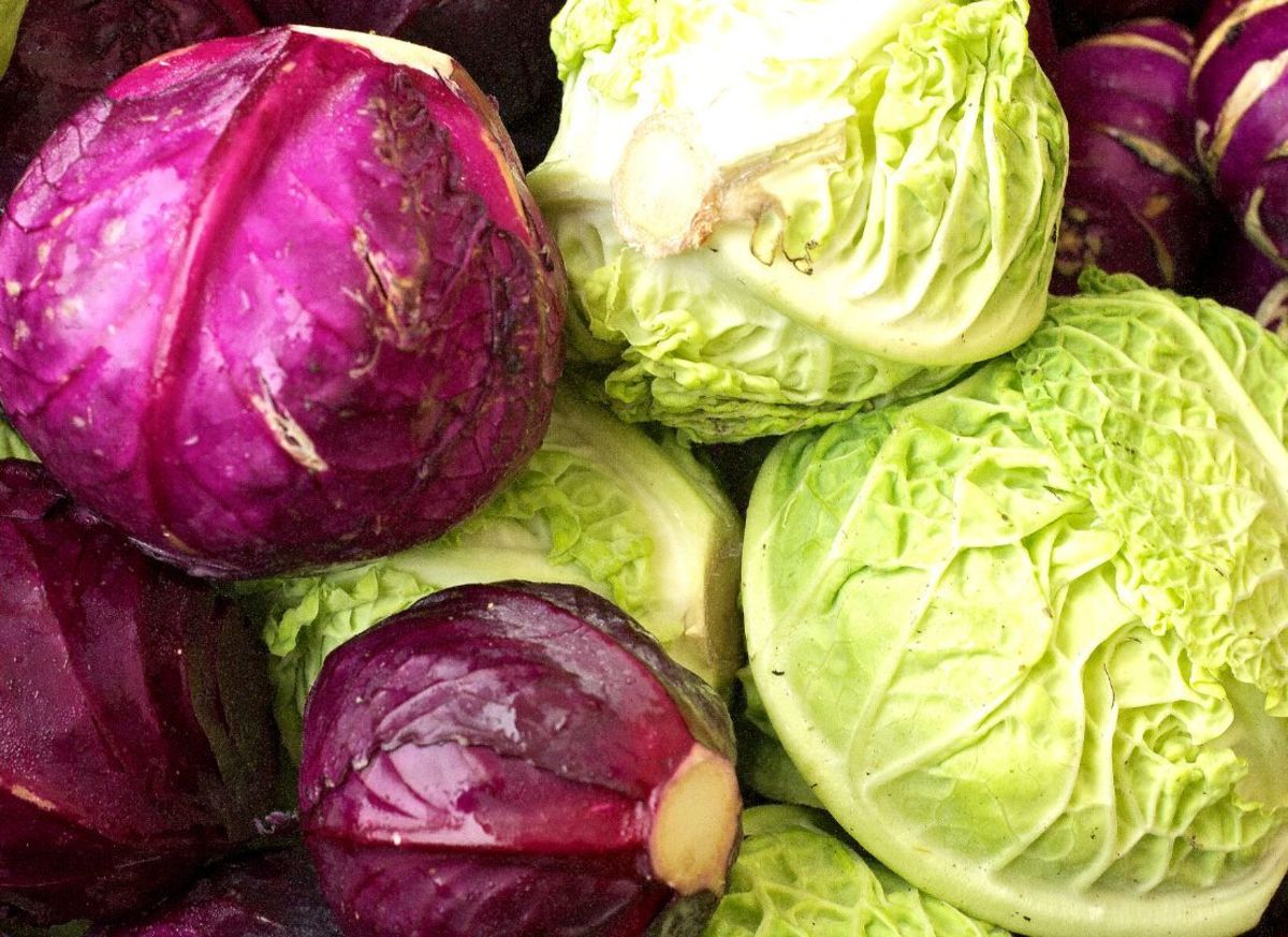 Can You Cook Red Cabbage and Green Cabbage Together?