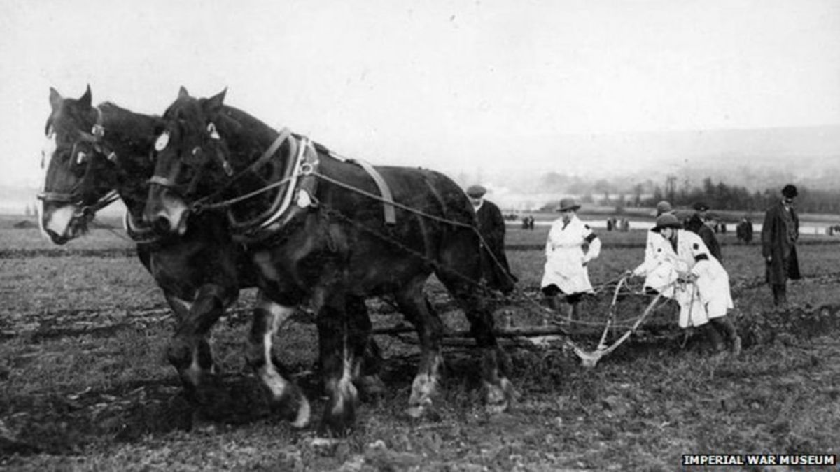 British Agriculture During World War II