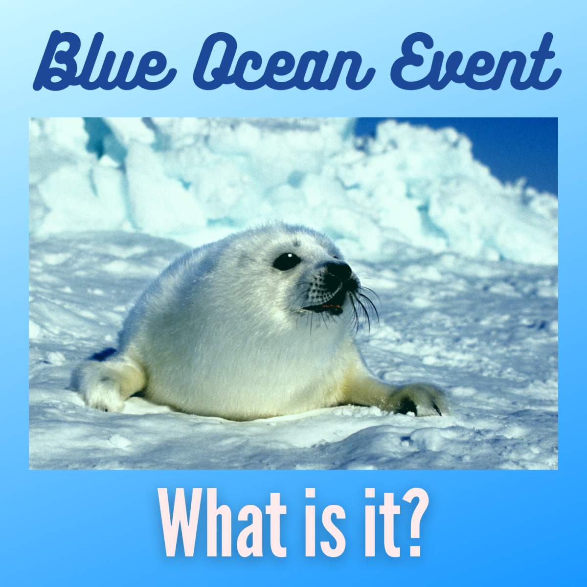 What Is a Blue Ocean Event and How Will It Impact Global Climate?