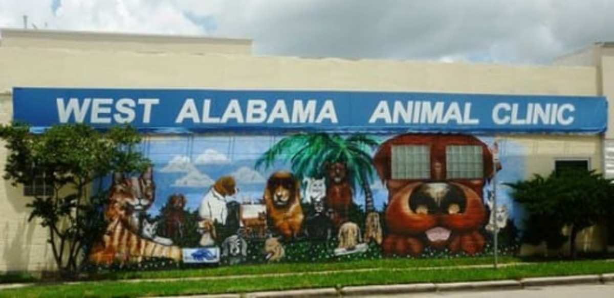 Mural on the West Alabama Animal Clinic in Houston