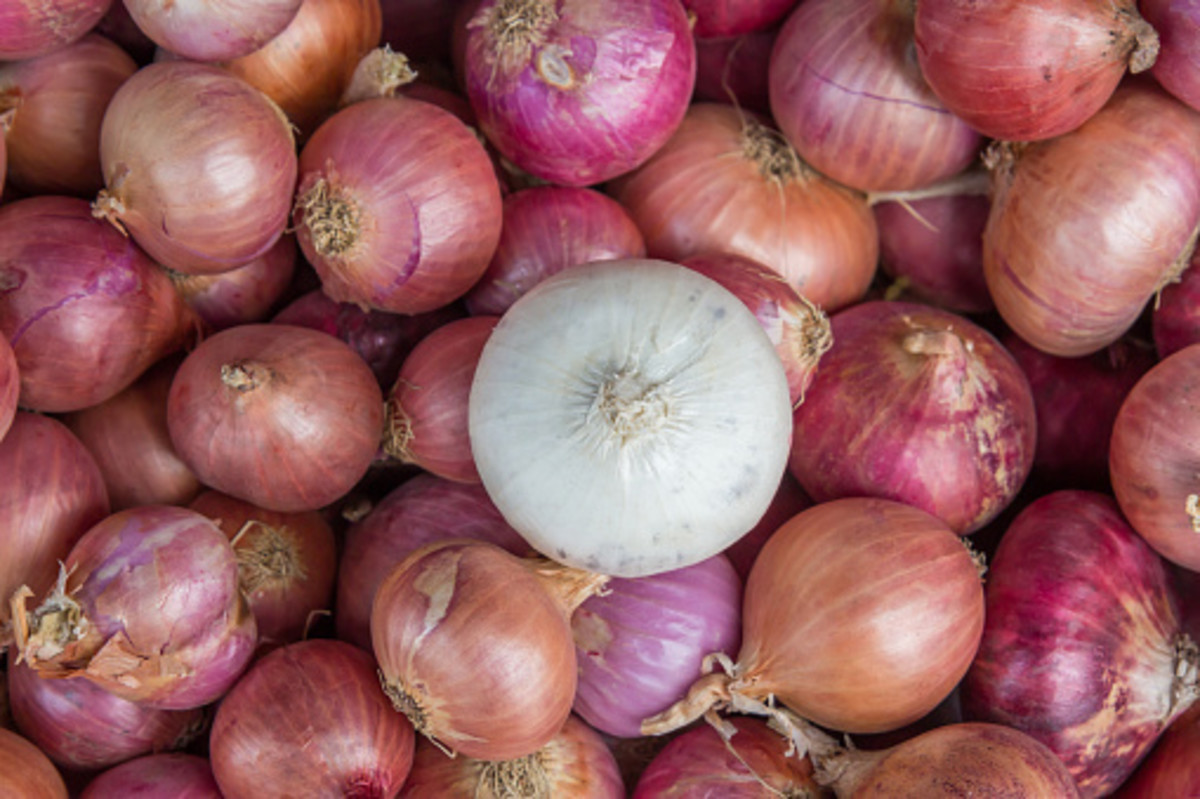 10 Nutritional Benefits of Onions For the Bloodstream HubPages