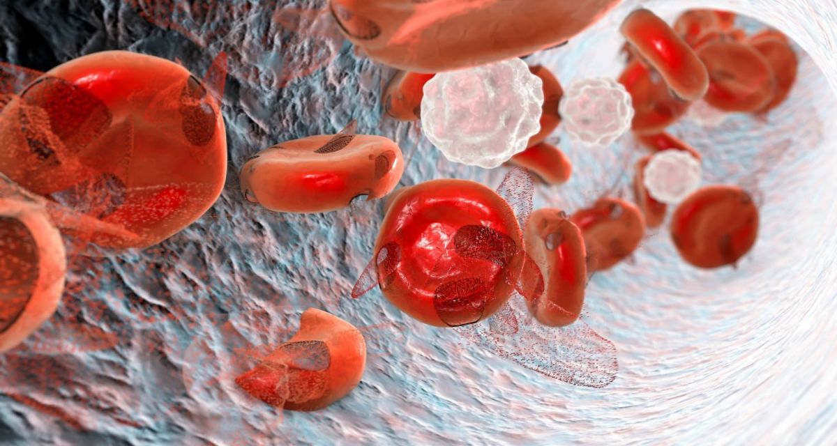 Onion Toxicity in Dogs The Signs You Should Look For HubPages