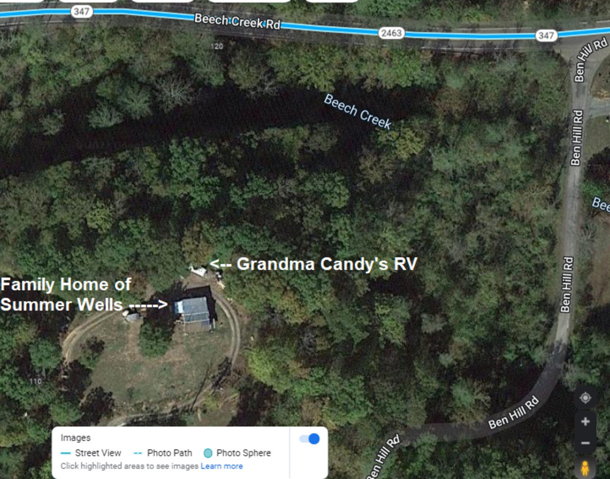 Updates on the Disappearance of FourYearOld Summer Wells The CrimeWire