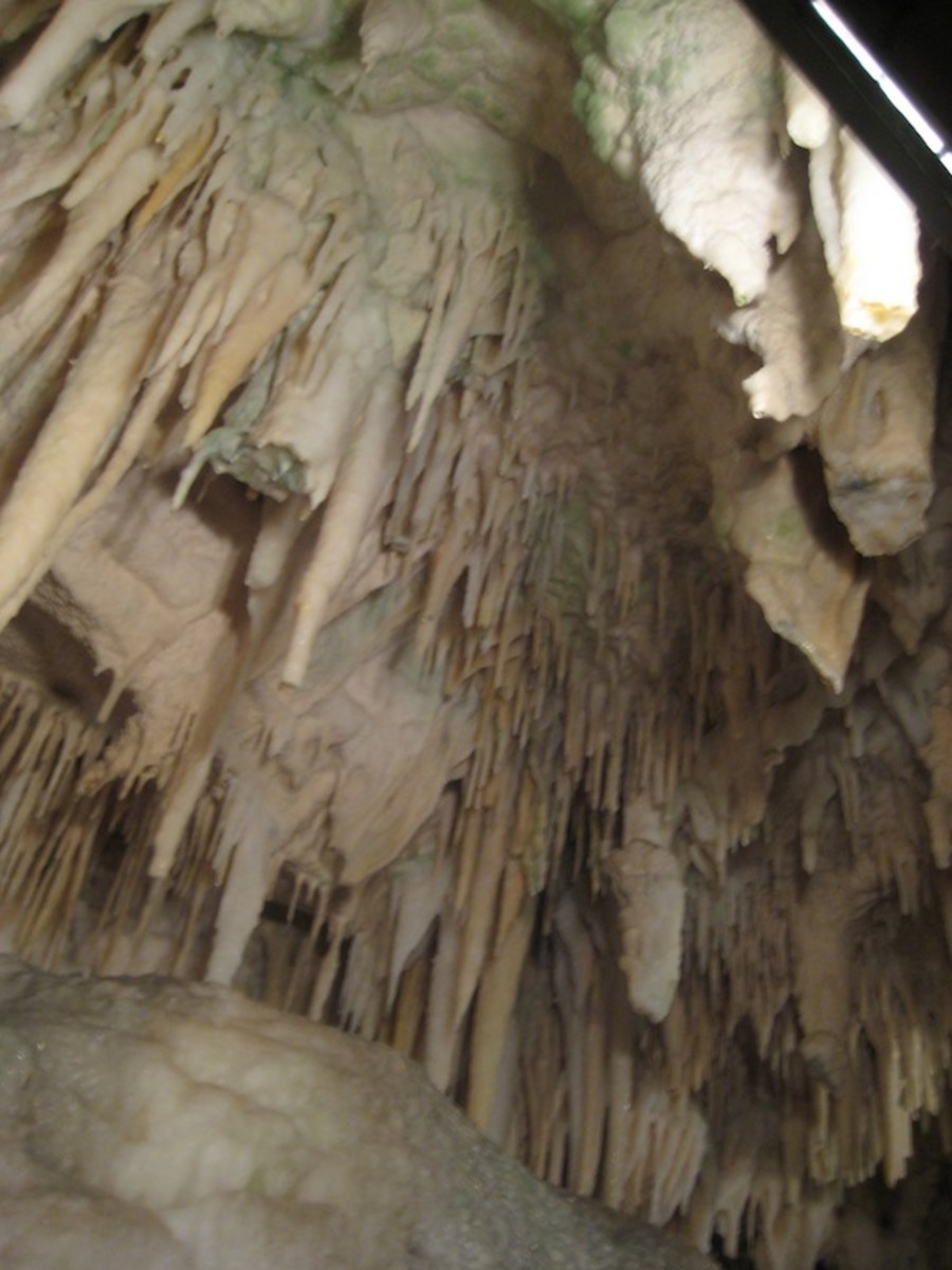 Waitomo Caves – Limestone Formations and Glowworms in New Zealand