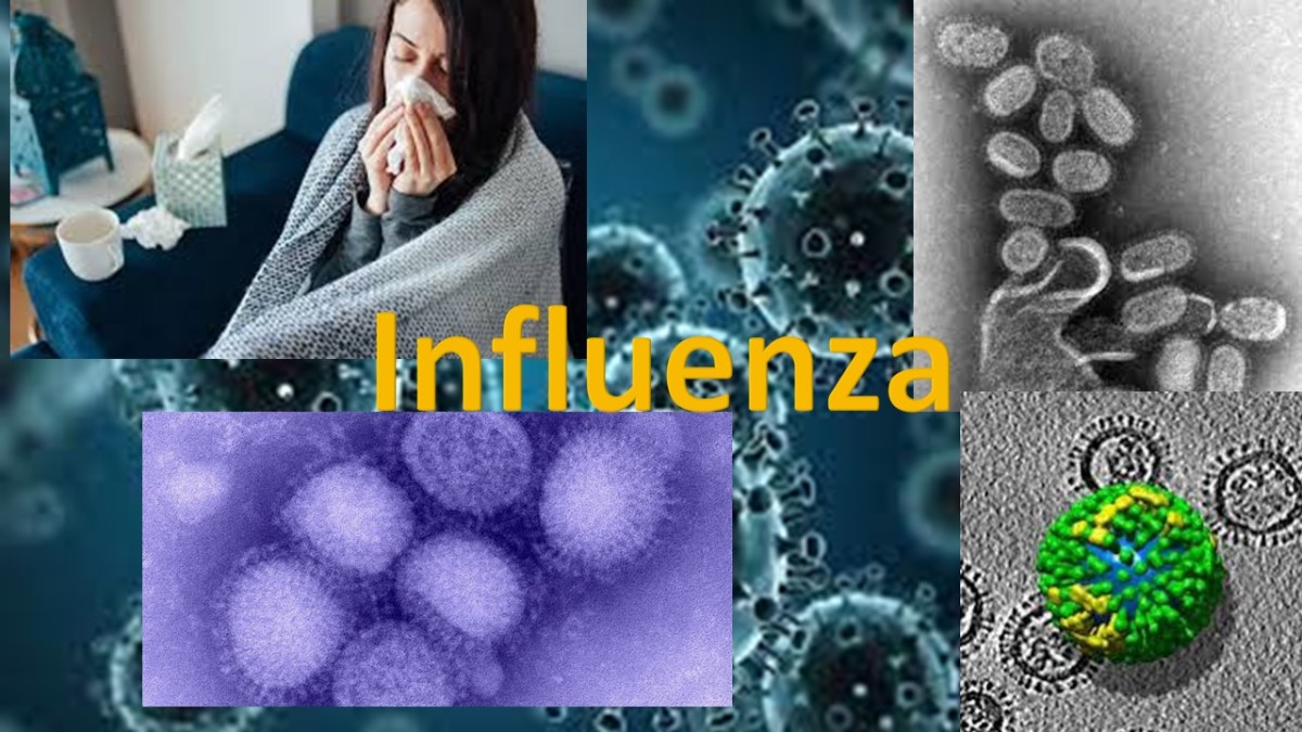 Quick Facts About Influenza Pandemics Most People Don't Know