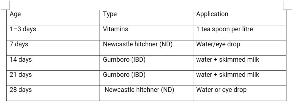 Broiler Chicken Vaccination Program