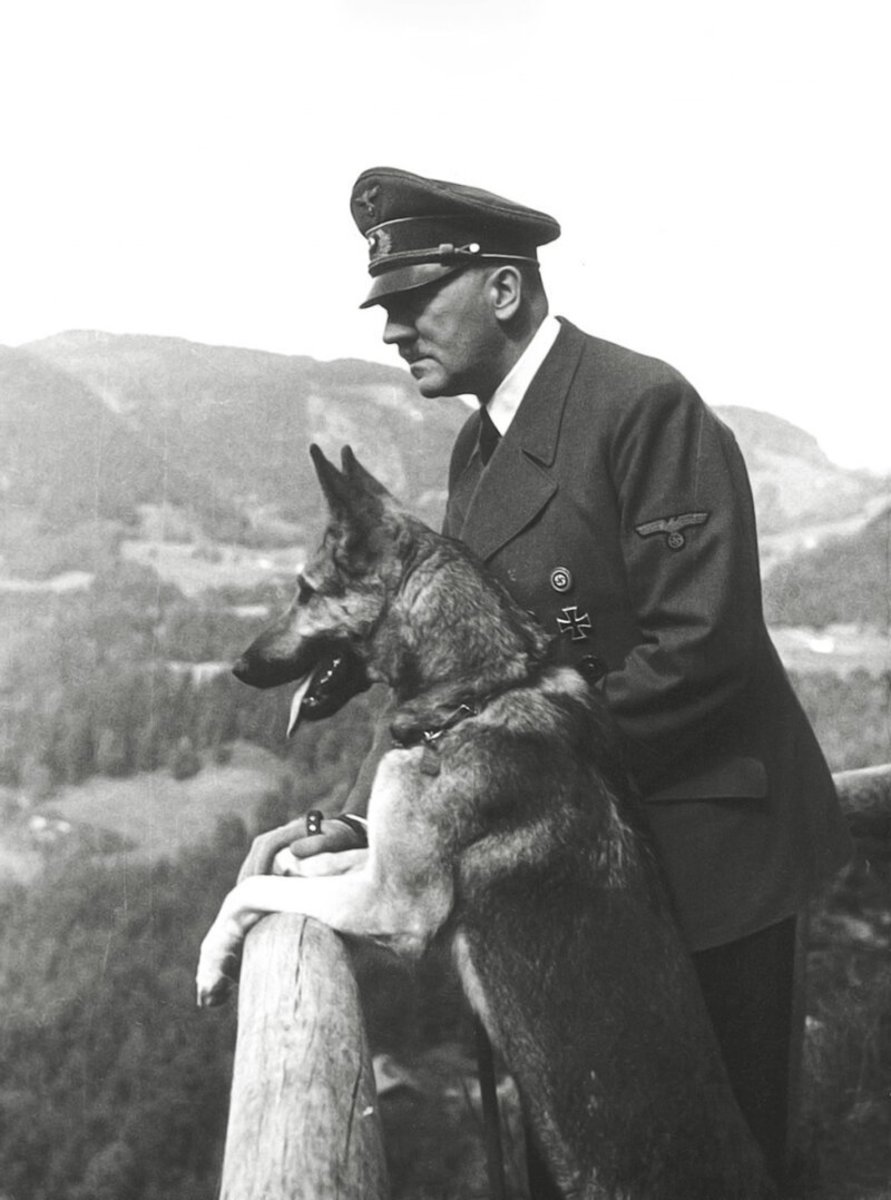 Dog and Hitler