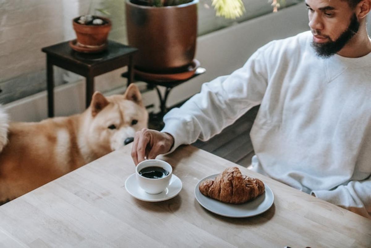 7 Suspicious Ingredients Found In Your Dog s Food That You Should Avoid 7-suspicious-ingredients-found-in-your-dog-s-food-that-you-should-avoid