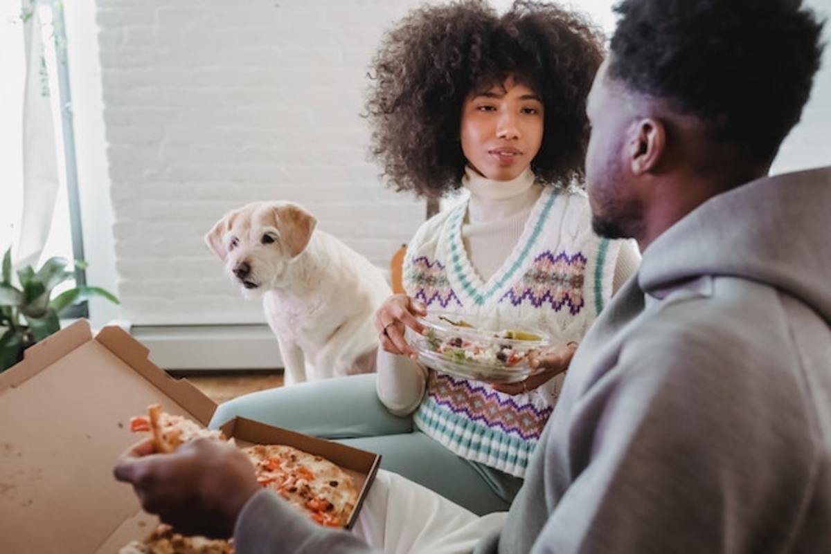 7 Suspicious Ingredients Found In Your Dog s Food That You Should Avoid dog-food-ingredients-explained-a-vet-s-guide-to-reading-a-dog-food
