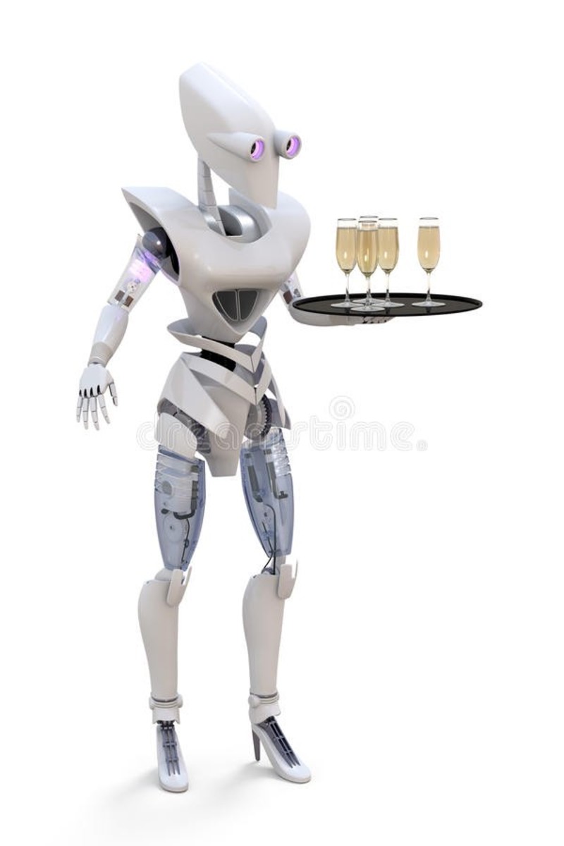 Your future cocktail server?