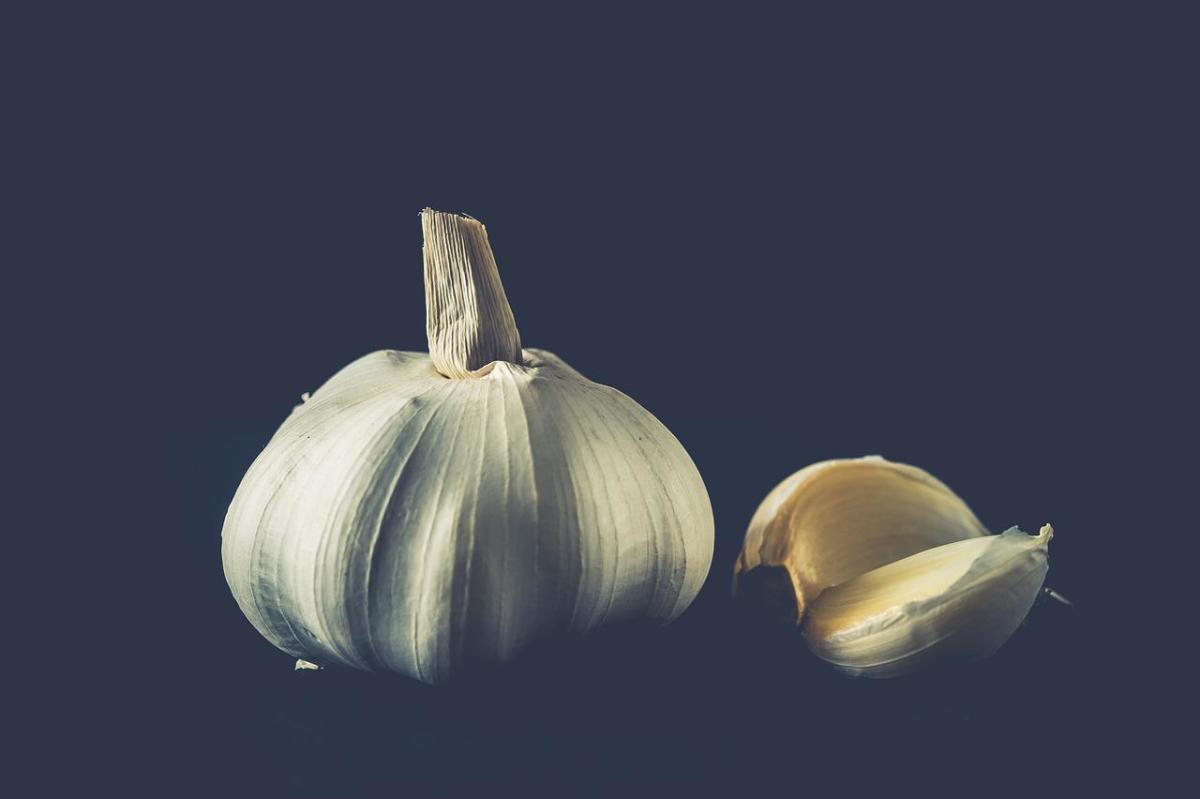 Medicinal Benefits of Allicin in Garlic Herb for the Bloodstream