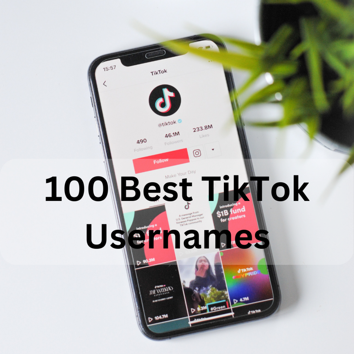 "Find your perfect TikTok username from our top 100 list!"