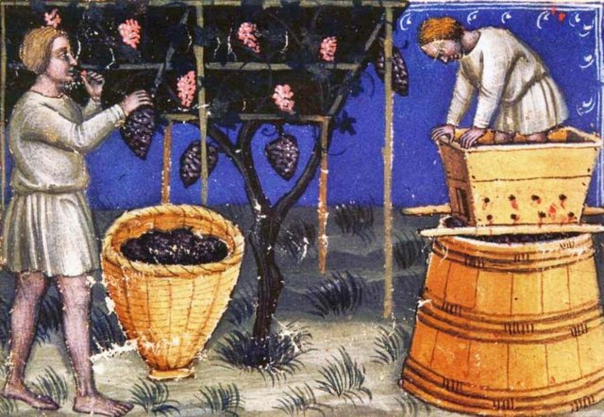 Prunelle making in 14th century France