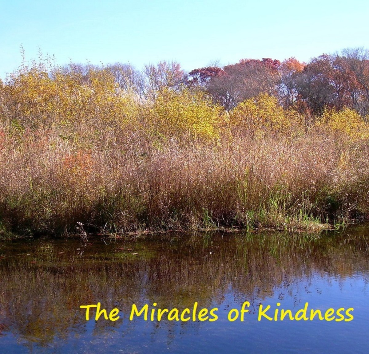 the-miracle-of-kindness