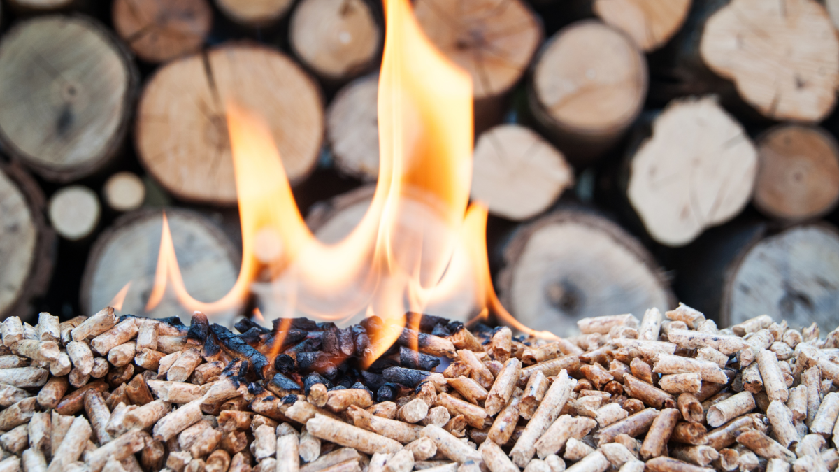 What is biomass energy?