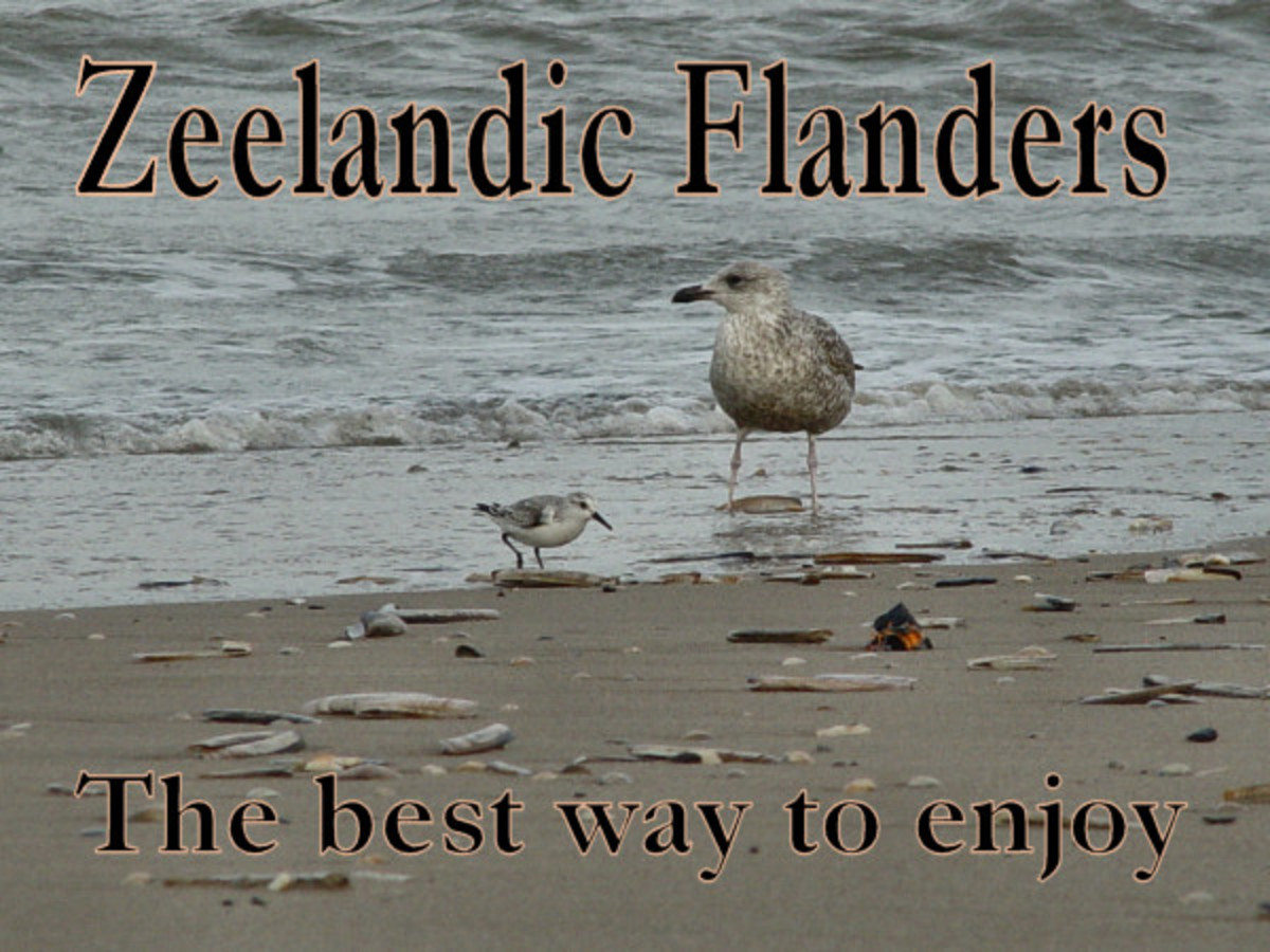 How to Enjoy Your Visit to Zeelandic Flanders the Best Way