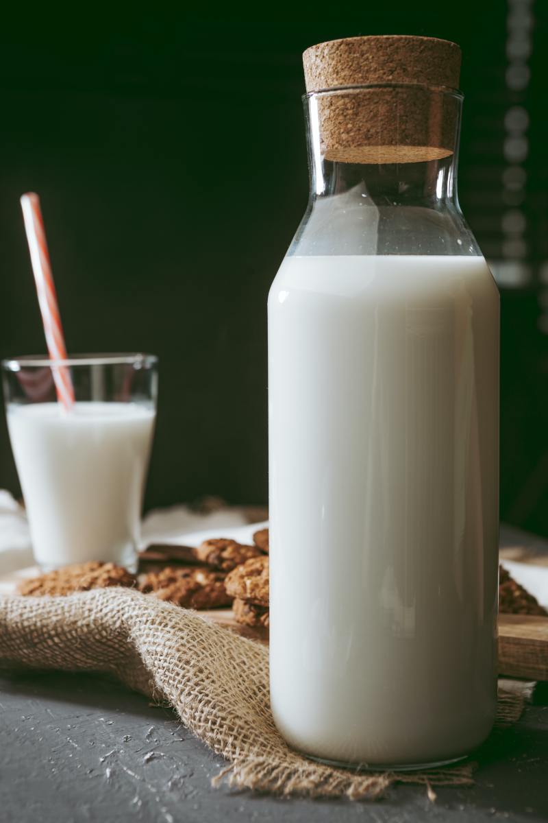 5 PlantBased Alternatives to Dairy Milk Delishably