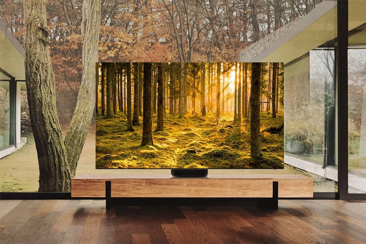 Best OLED TVs in 2023 for Best Watching Experience