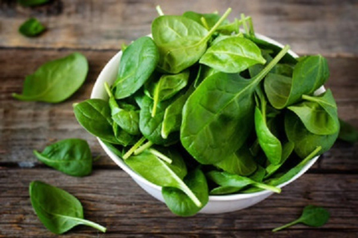Spinach is a good source of minerals to feed to goldfish.