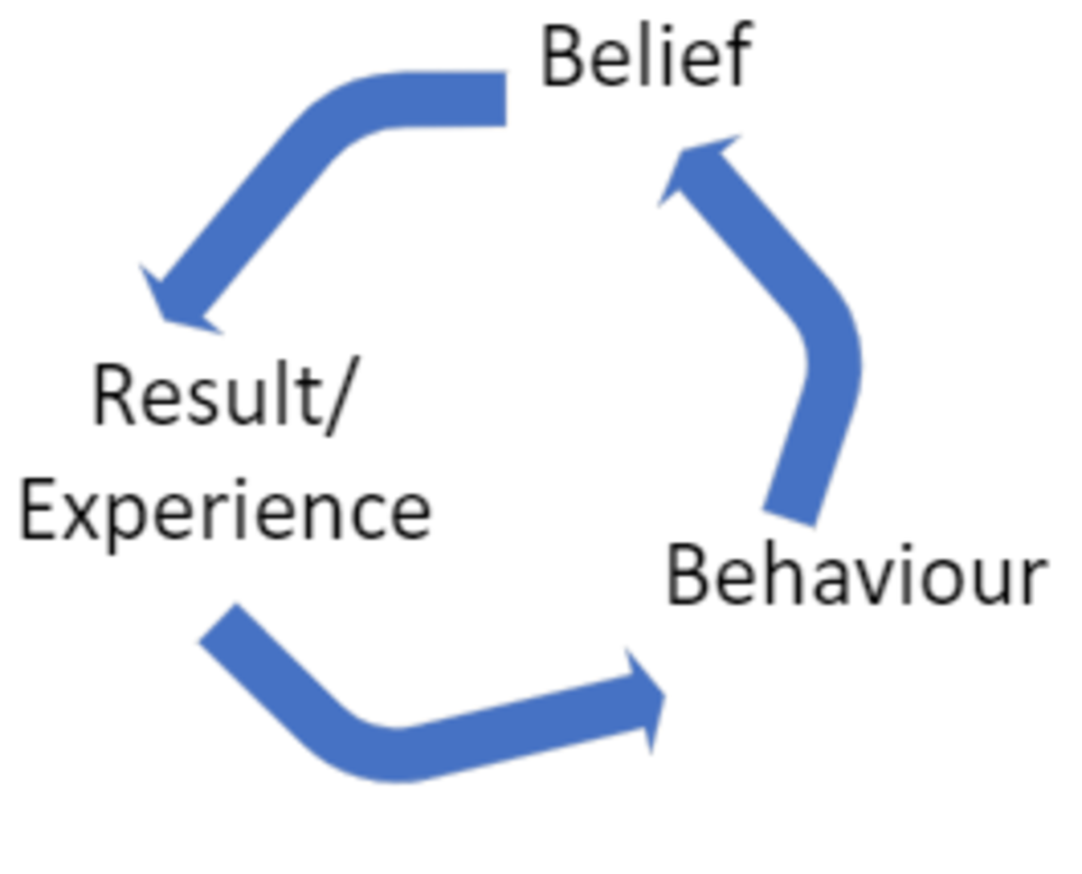 Belief-Behaviour Cycle