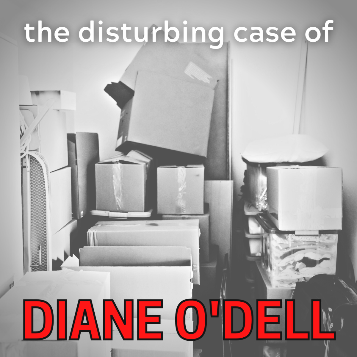 Diane O'Dell: Secrets Buried in Storage