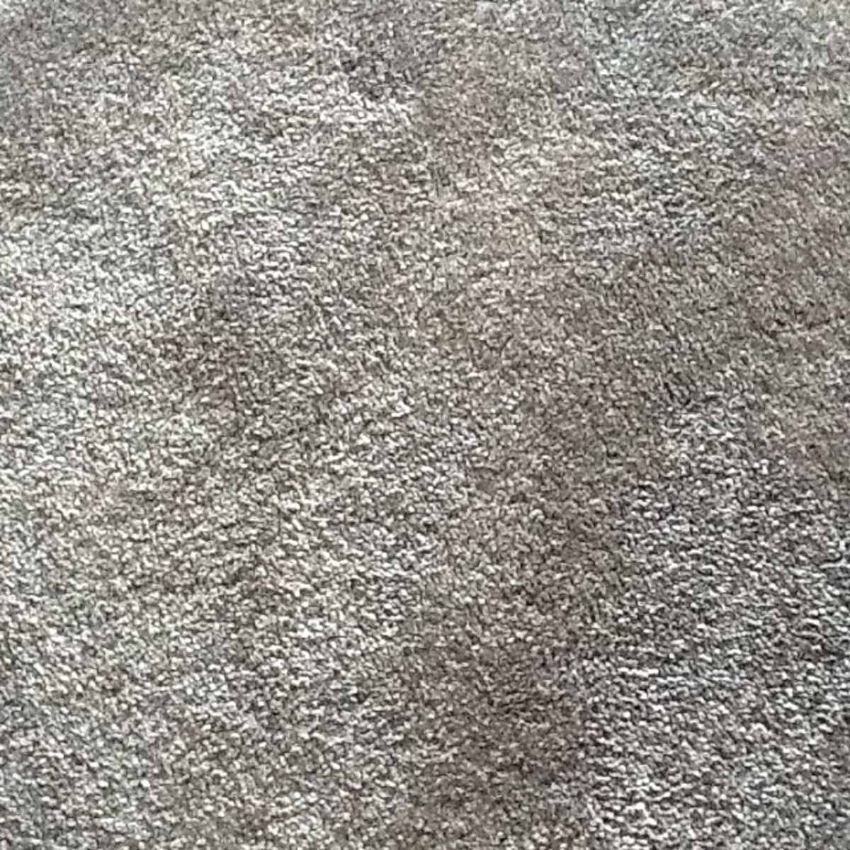 why-i-love-carpet-more-than-hardwood-floors