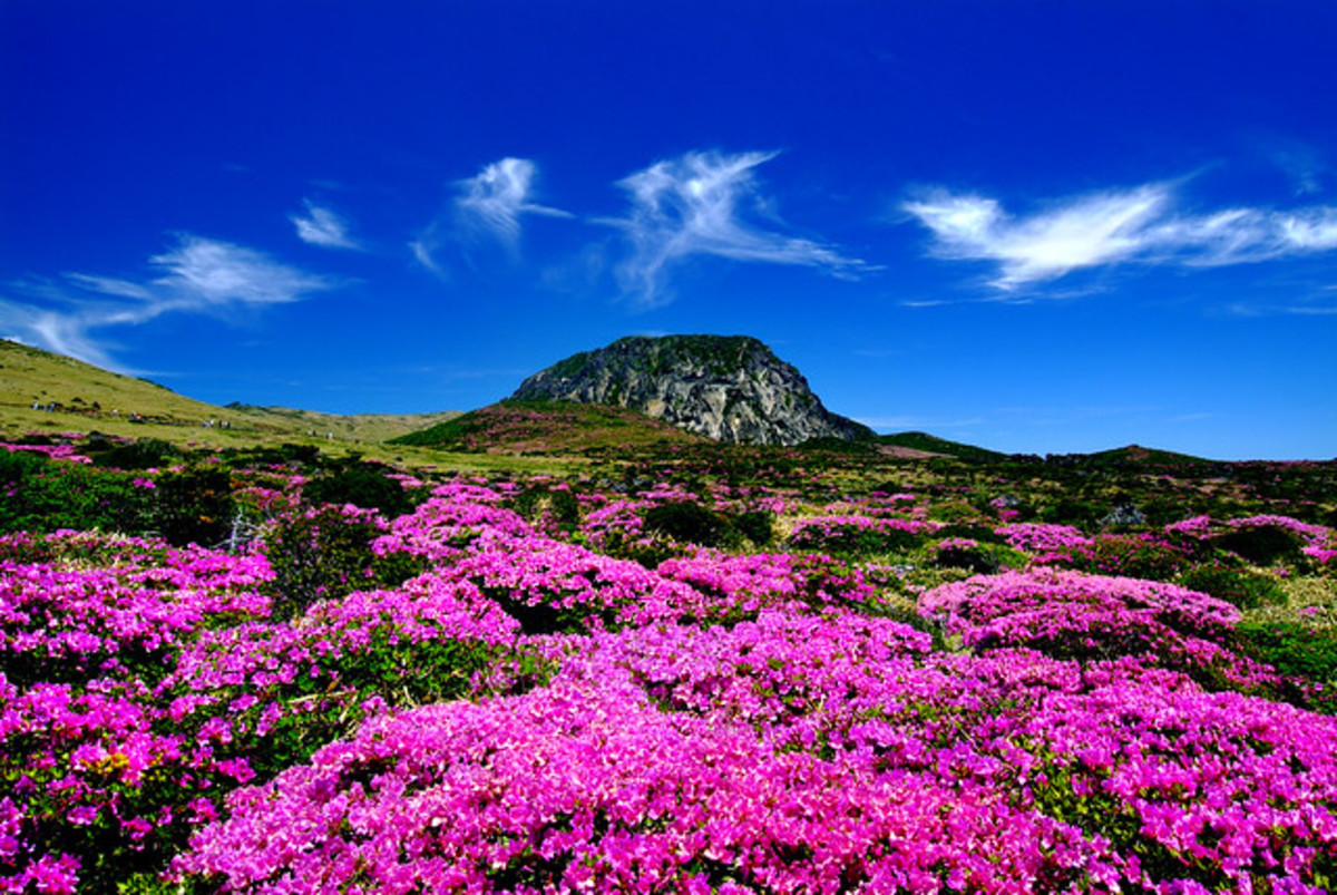 Jeju Island, South Korea: Best Scenery and Honeymoon Destination