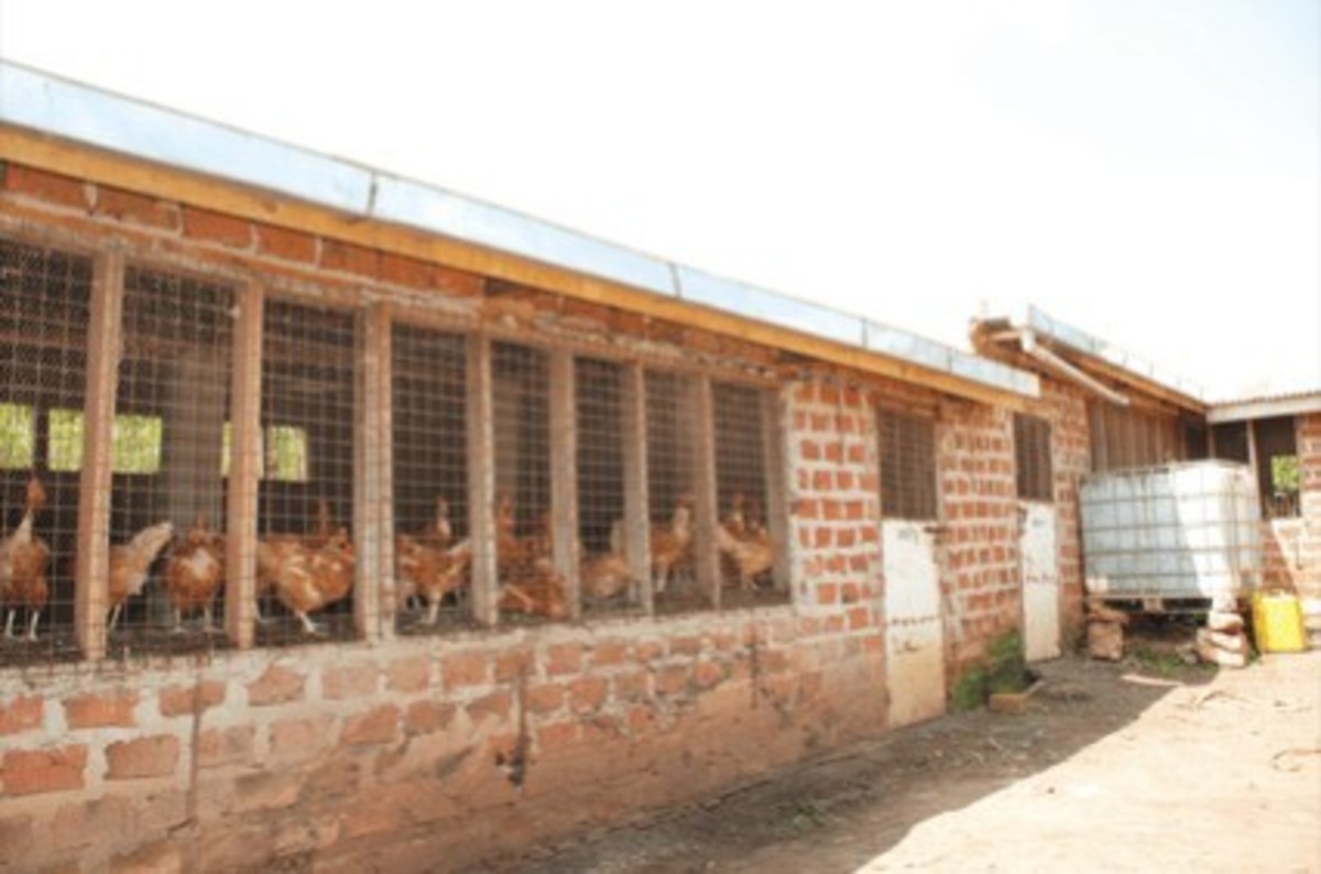 A Chicken House