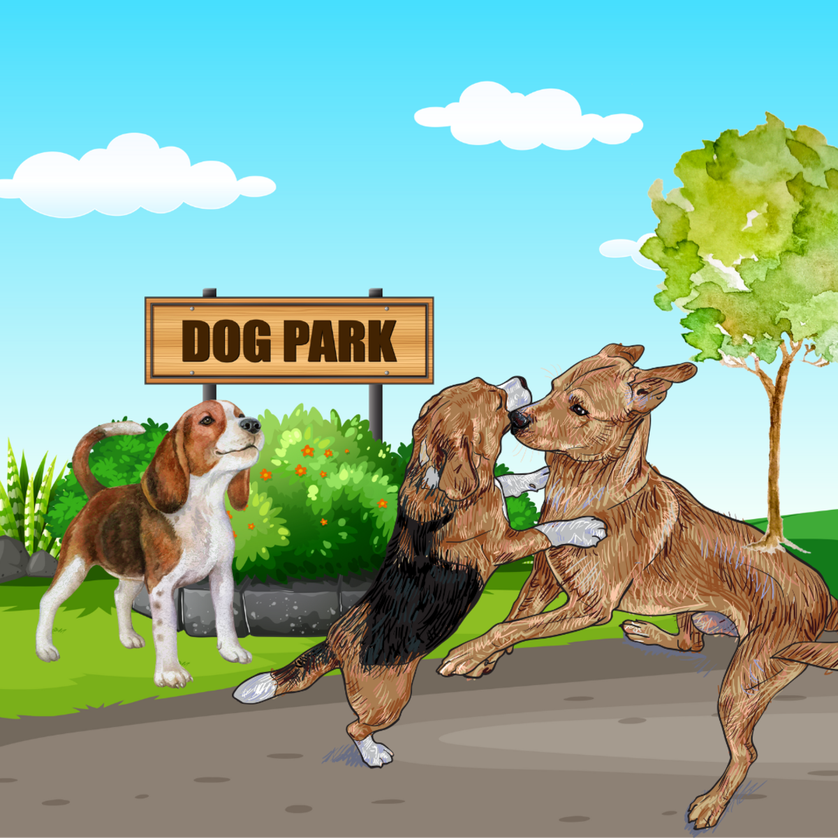 why-do-dogs-play-fight-with-humans