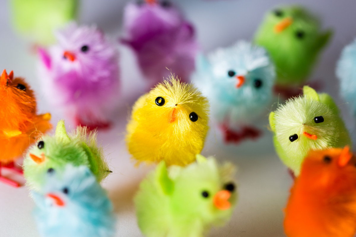 the-animals-of-easter