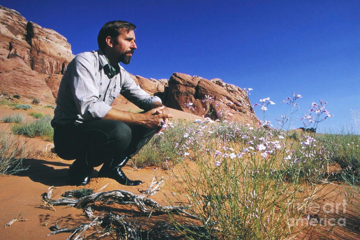Edward Abbey: Known as the Thoreau of the West, the Maverick and
