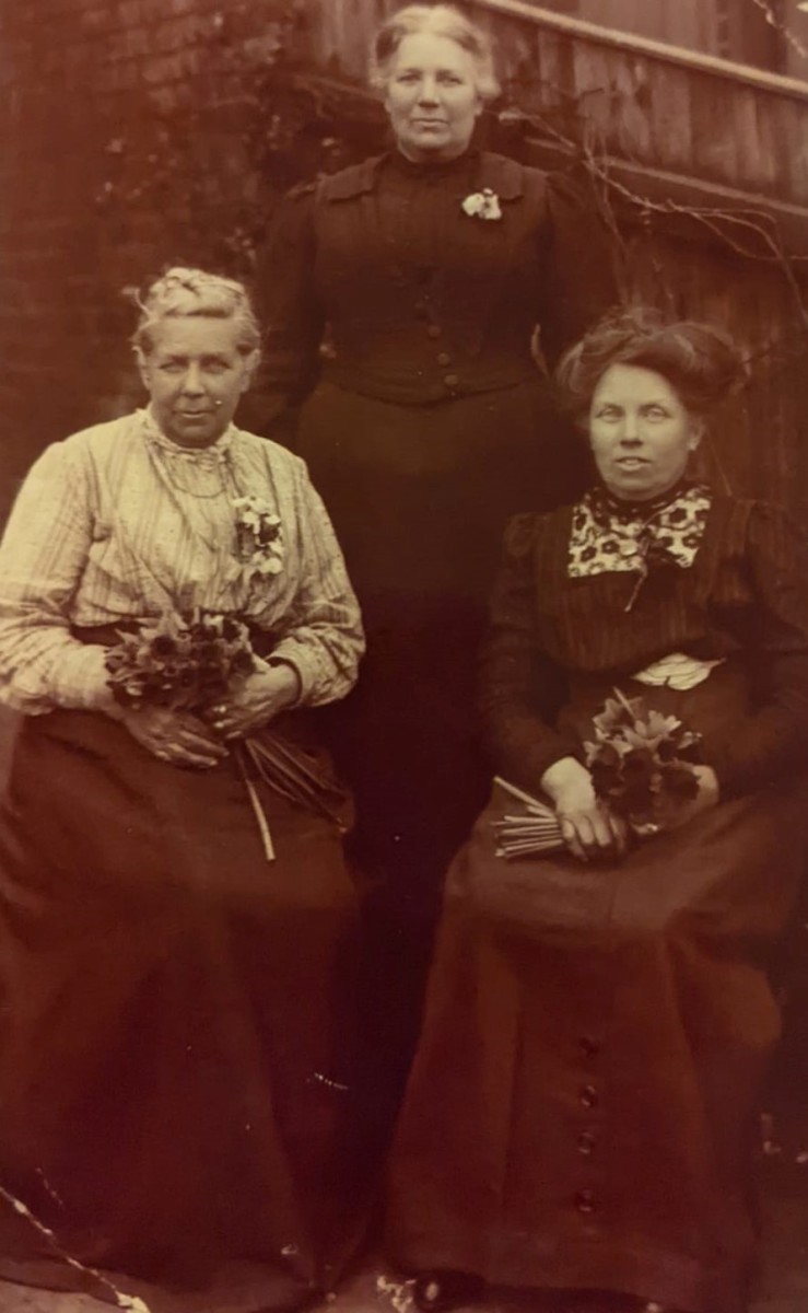 The Sleeping Girl of Turville The True Story of a Girl Who Fell Asleep