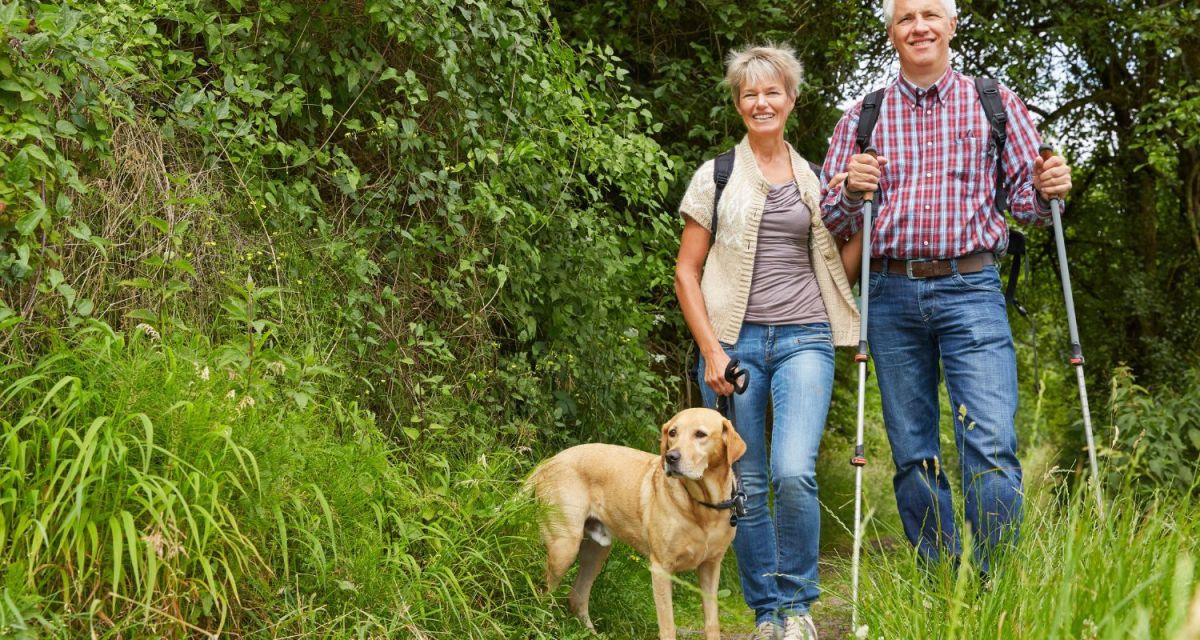 7 Best Dog Breeds for Hiking HubPages