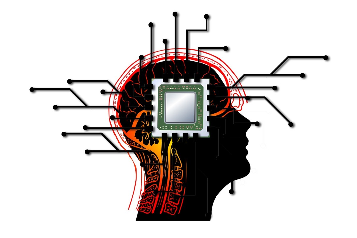 Living neurons built into silicon chips are used by wetware computers to process information.