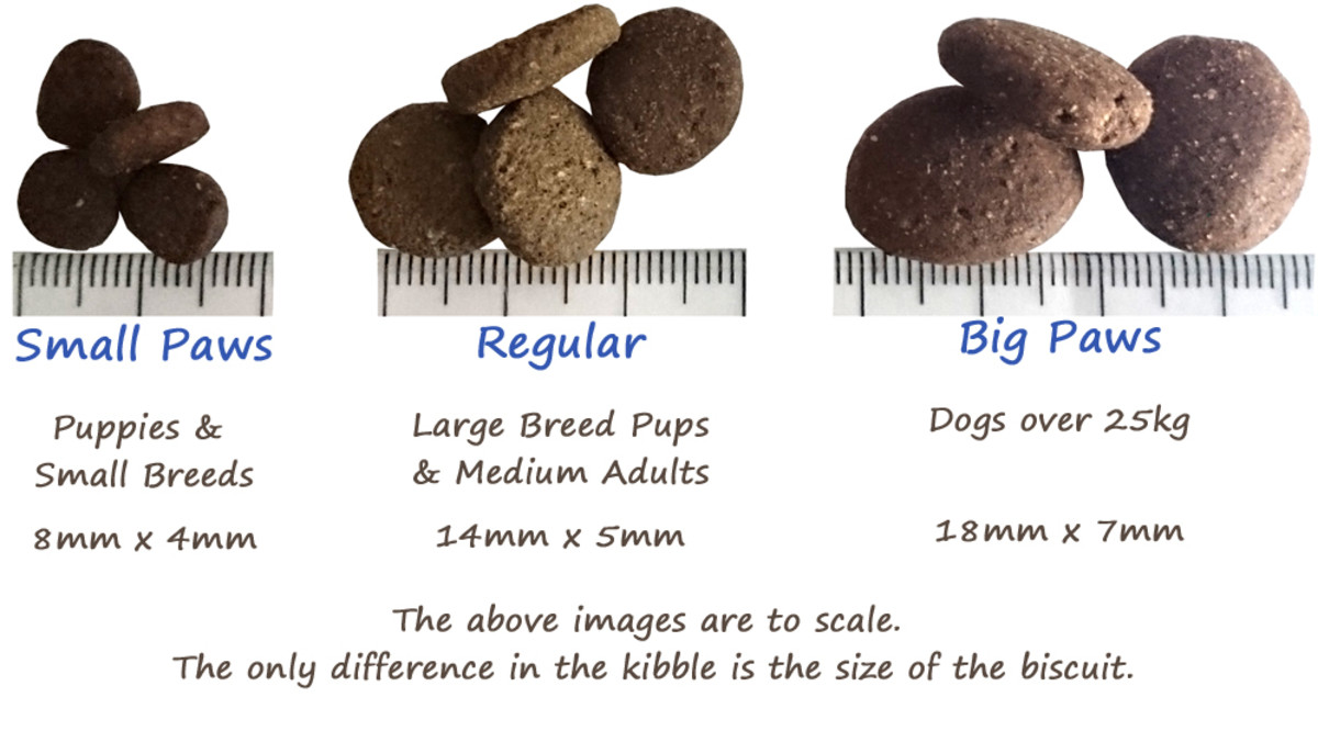 choosing-best-food-for-your-small-dog