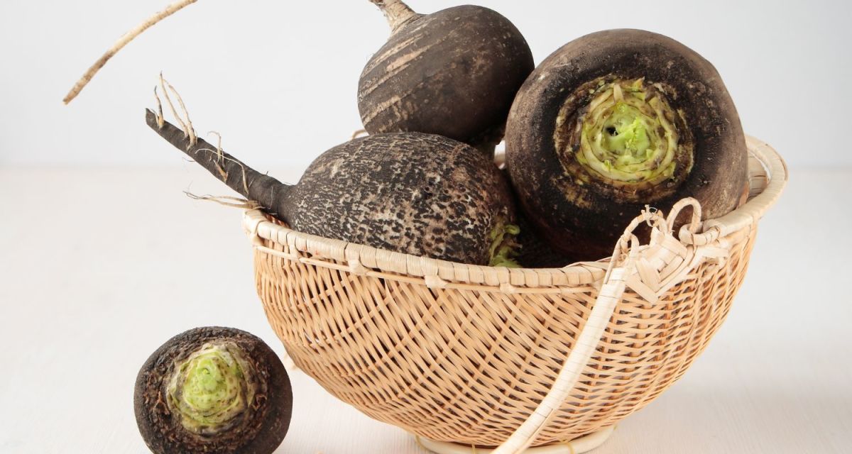 Why Do Black Radishes Turn Black? HubPages
