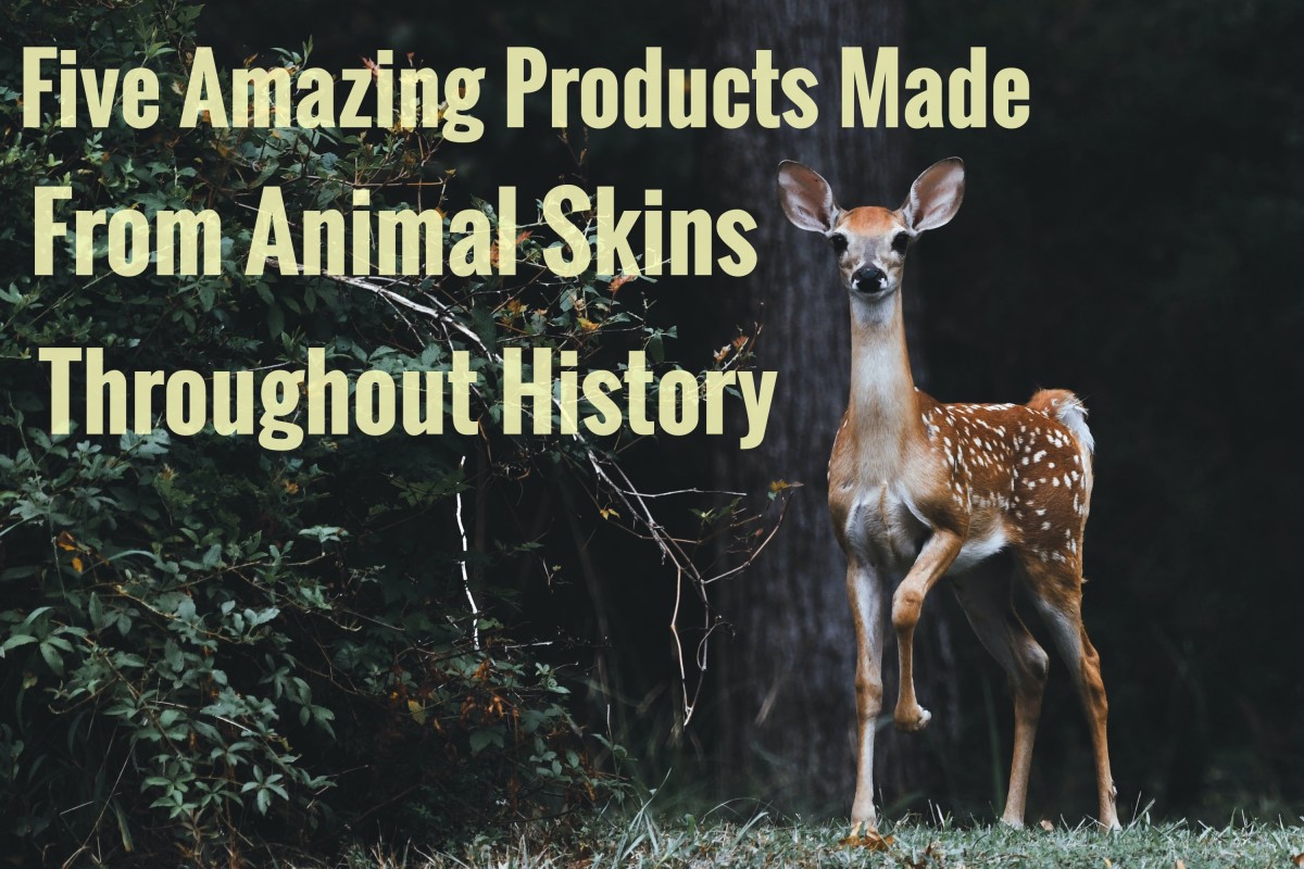 Read on to learn about five amazing products made from animal skins throughout history.