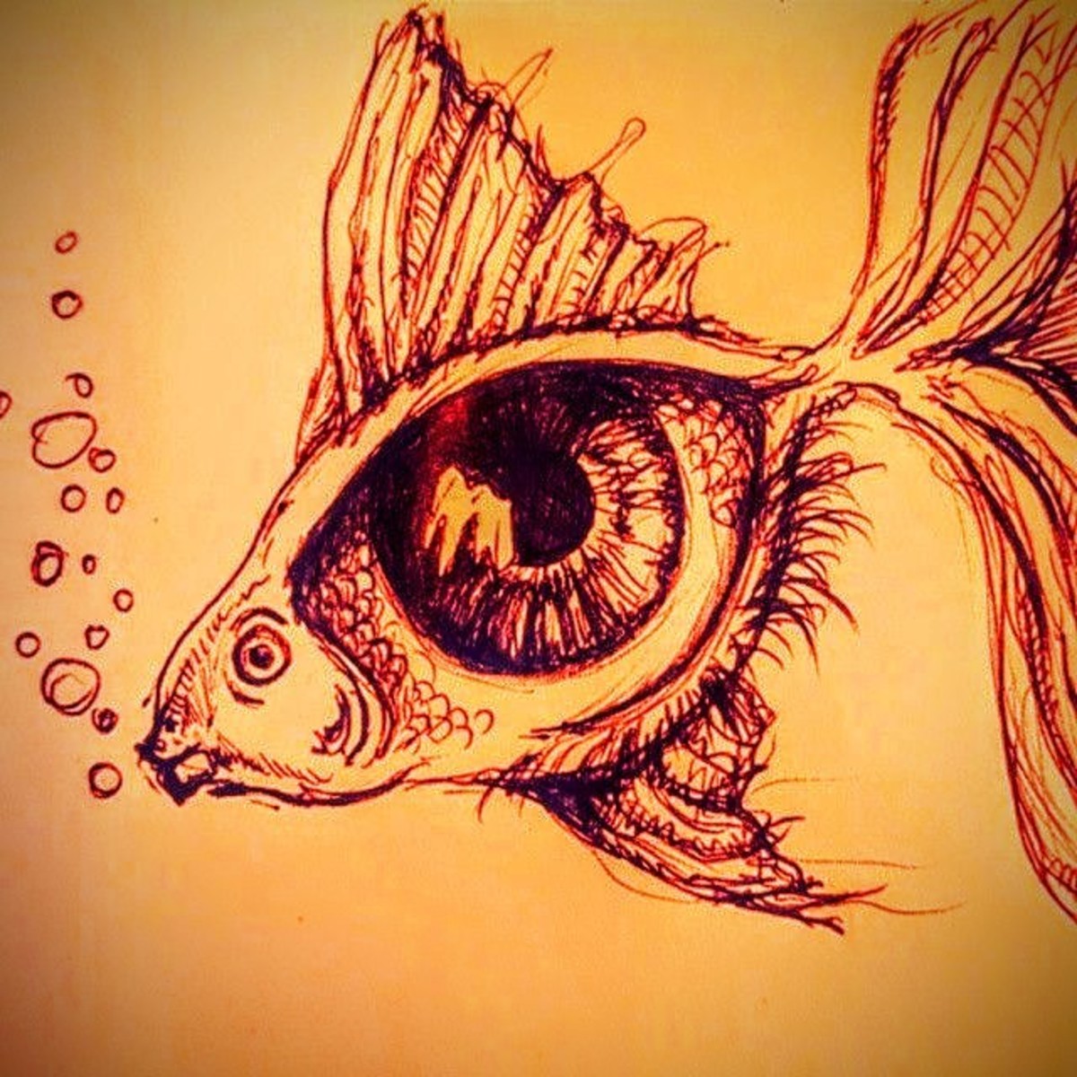 fishs-eyes