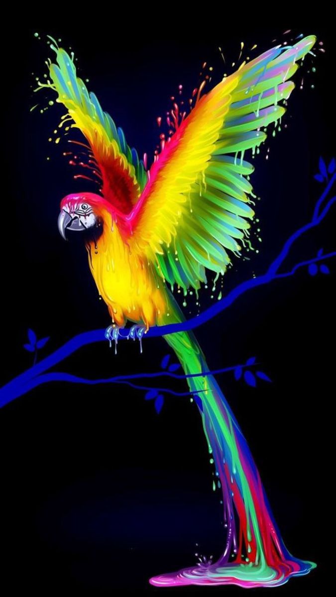 Magic Parrot.