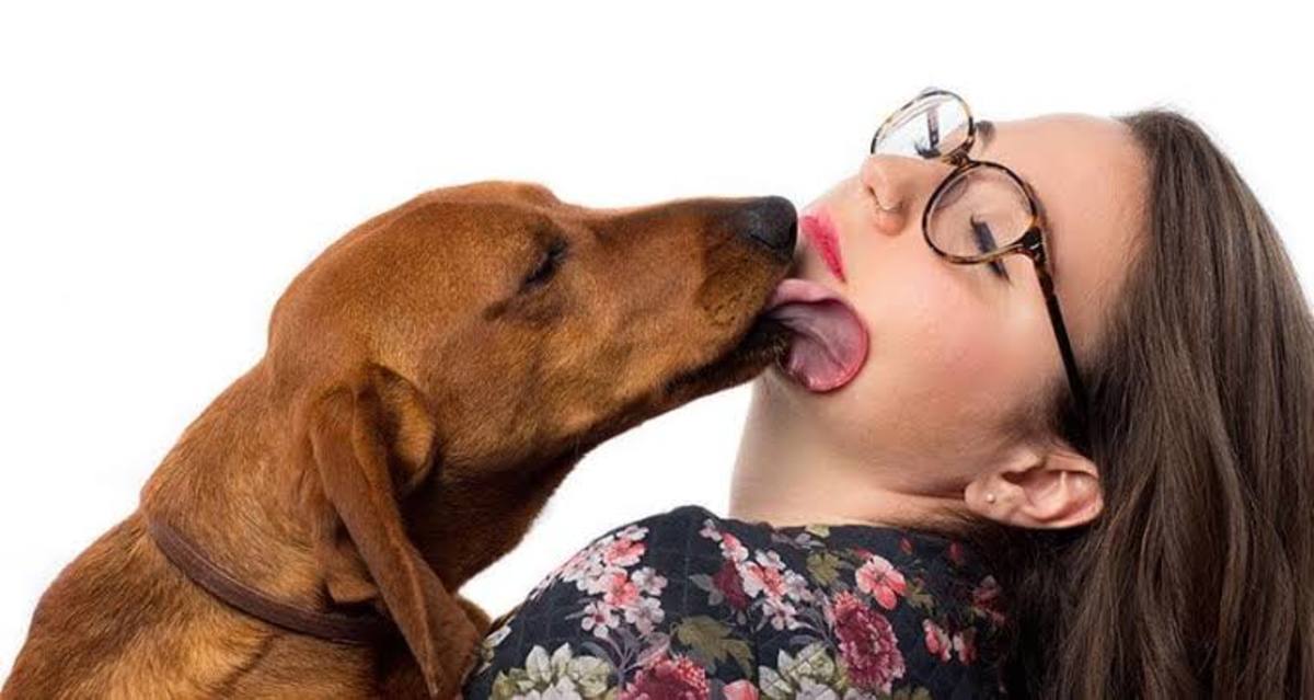 real-meanings-behind-10-odd-dog-behaviour