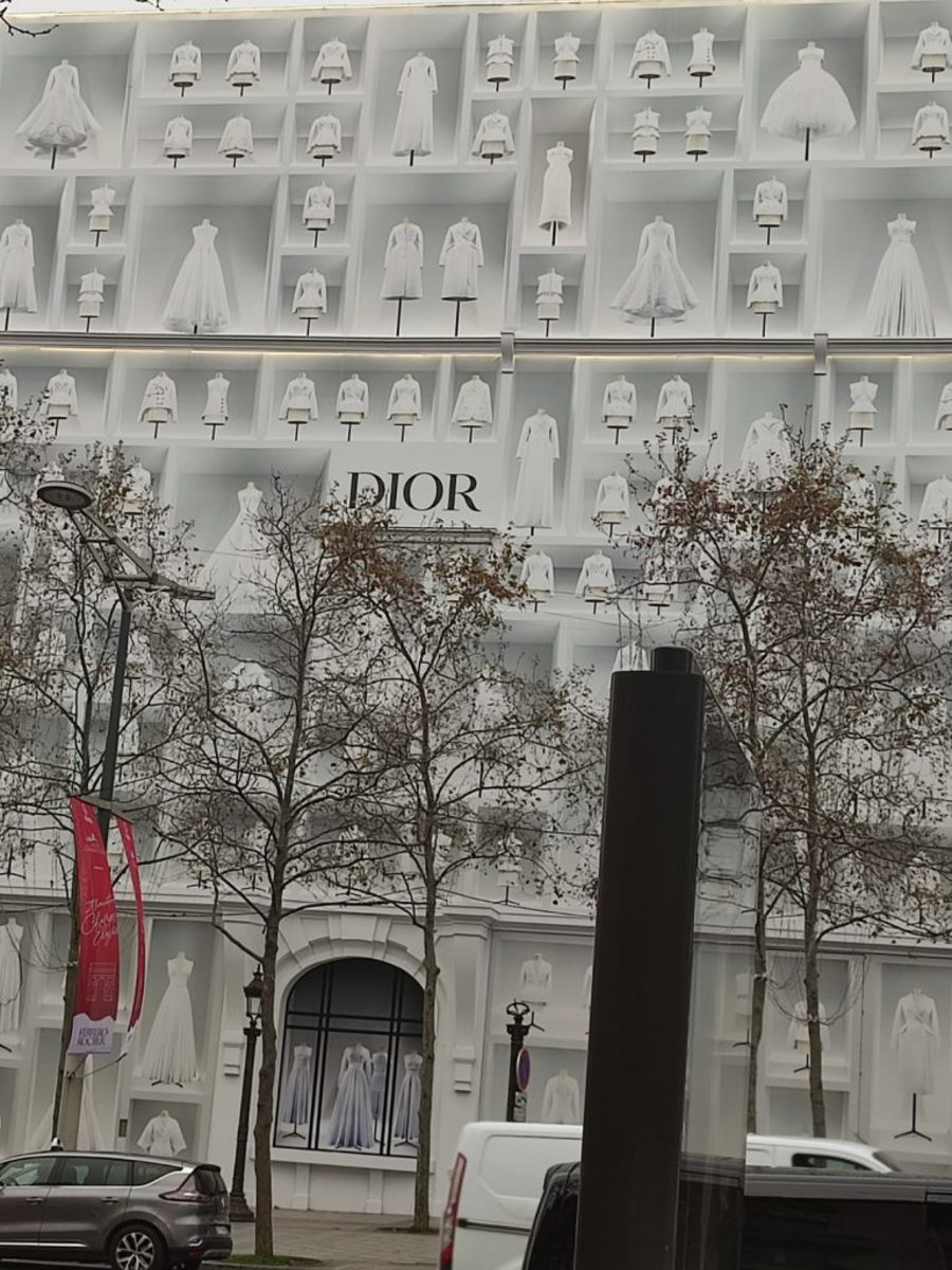 The New Building for Dior on the Champs Elysees