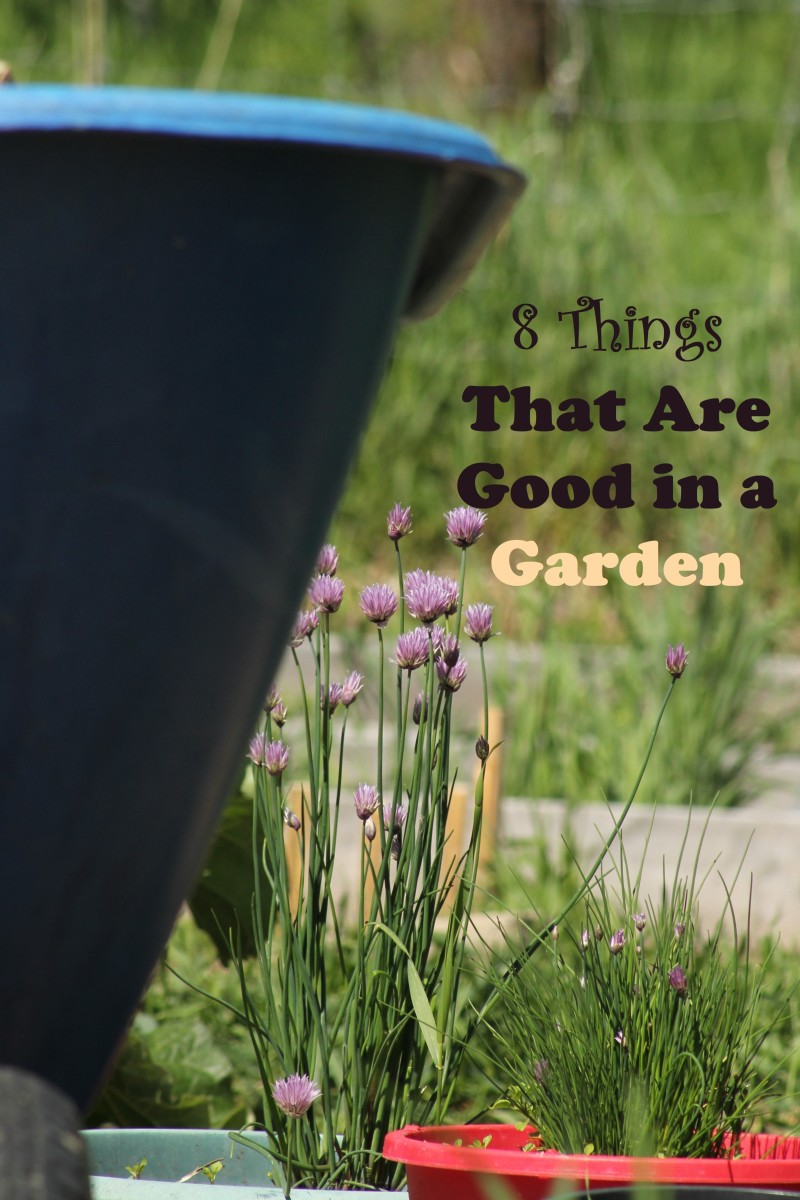 8 Things That Are Good in a Garden