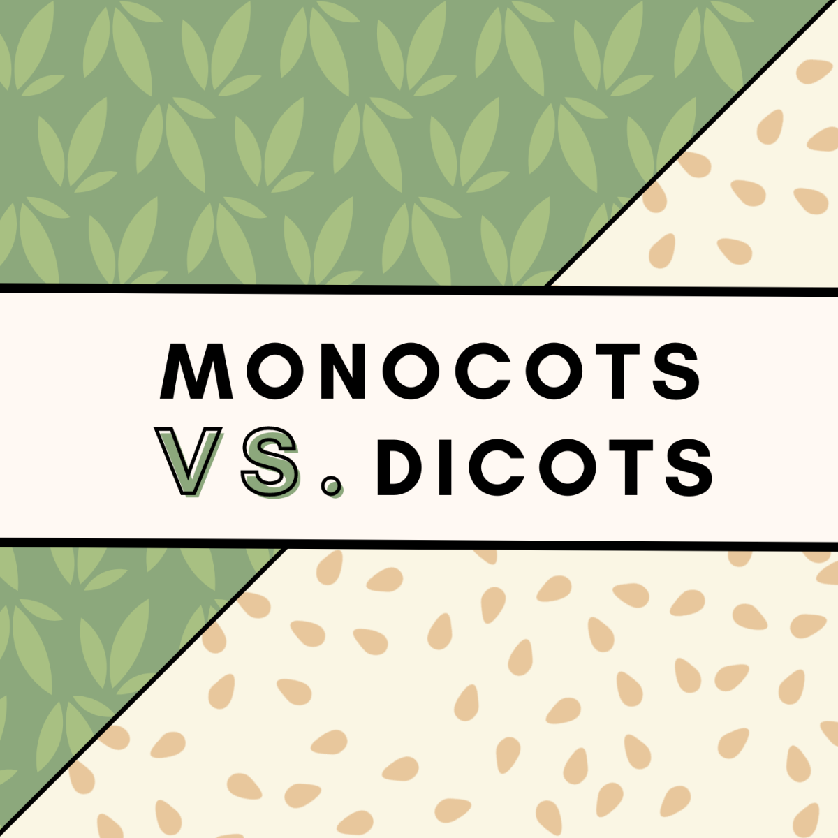 How Do Seeds Germinate? Monocots vs. Dicots