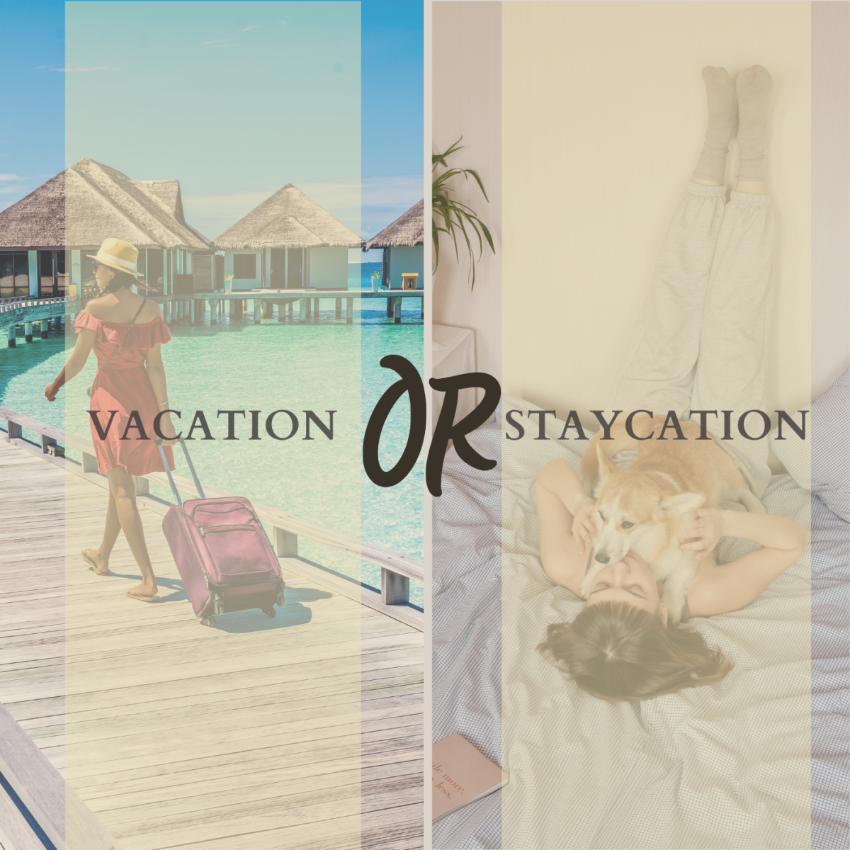 Vacation or staycation?