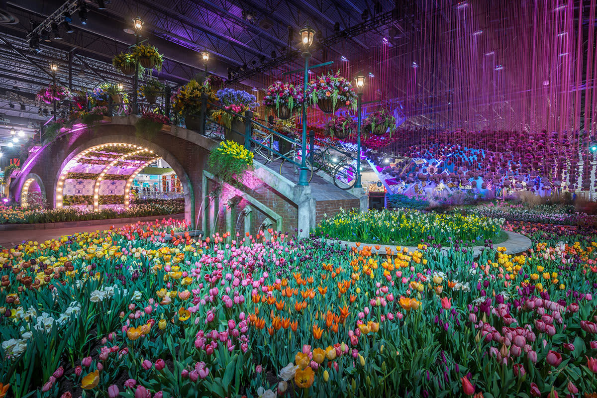 A photo of a previous Philadelphia Flower Show.  The annual show there is always one of the biggest and best in the United States.