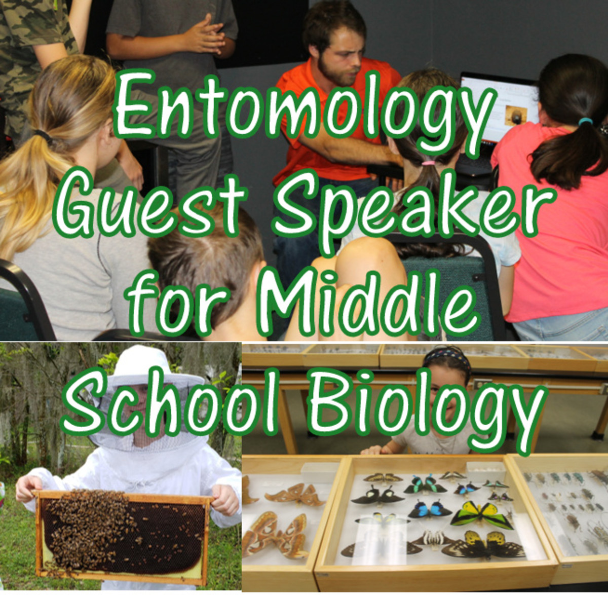 Beneficial Insects Lesson for Middle School Biology