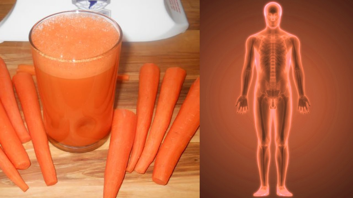 the-magic-of-carrots-unlocking-the-power-of-natures-nutritional-superfood