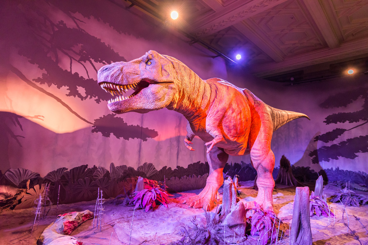 sleepover-at-the-natural-history-museum-in-london-is-a-history-buff-s