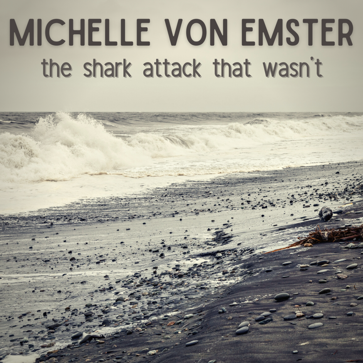 Michelle Von Emster: What Really Happened?